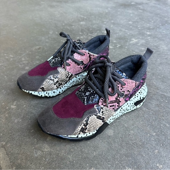Steve Madden Cliff sneakers - Picture 1 of 12
